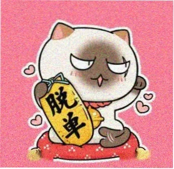 时雨苍